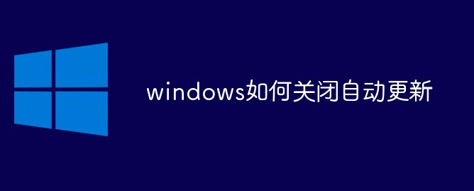 《windows》win11系统如何停止更新？