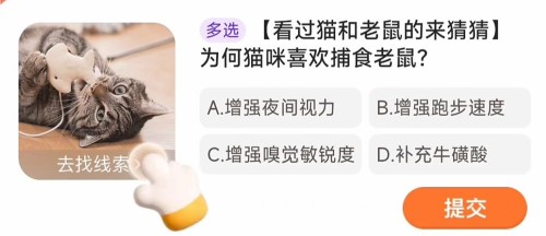 《淘宝》大赢家活动每日一题2024分享大全