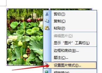 《WPS》word怎么调整图片像素大小