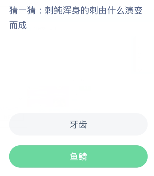 《支付宝》蚂蚁森林神奇海洋今日答案分享大全